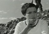 Сцена из фильма Жажда над ручьем (1968) Жажда над ручьем сцена 1