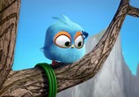 Сцена из фильма Сердитые птички. Пушистики / Angry Birds. Blues (2017) Сердитые птички. Пушистики сцена 1