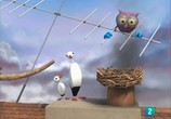 Мультфильм Сова / The Owl (2006) - cцена 1