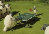 Сцена из фильма Барашек Шон - овцечемпионат / Shaun the Sheep - Championsheeps (2012) 