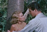 Сцена из фильма Самое лучшее / The Best of Everything (1959) Самое лучшее сцена 12
