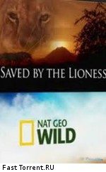 National Geographic: Спасенный львицей