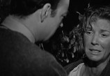 Сцена из фильма Логово дьявола / The Haunting (1963) Логово дьявола сцена 7