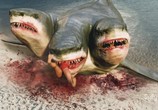 Сцена из фильма Нападение трёхголовой акулы / 3 Headed Shark Attack (2015) Угроза из глубины 2 сцена 2