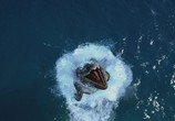 Сцена из фильма National Geographic: Чудища морей: Доисторическое Приключение / Sea Monsters: A Prehistoric Adventure (2009) National Geographic: Чудища морей: Доисторическое Приключение сцена 5
