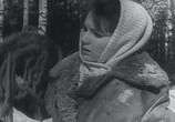 Сцена из фильма Женщины (1966) Женщины сцена 2