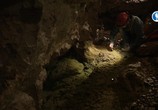 Сцена из фильма Тайны подземного мира / Secret Life Underground (2014) Тайны подземного мира сцена 8