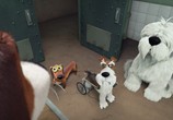 Сцена из фильма Большой собачий побег / Ozzy (2016) Большой собачий побег сцена 5