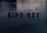 Сцена из фильма Птичий короб / Bird Box (2018) Птичий короб сцена 6