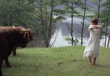 Сцена из фильма Влюбленные женщины / Women in Love (1969) Влюбленные женщины сцена 6