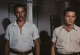 Сцена из фильма Тайна Жоао Корраль / 800 leguas por el Amazonas o (La jangada) (1959) Тайна Жоао Корраль сцена 3
