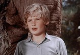 Сцена из фильма Мальчик, который украл слона / The Boy Who Stole the Elephant (1970) Мальчик, который украл слона сцена 12
