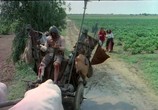 Сцена из фильма Фиорина / Fiorina-la vacca (1972) 