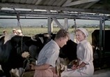 Сцена из фильма Яблоко раздора (1962) Яблоко раздора сцена 8