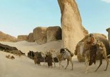 Сцена из фильма Аравия / MacGillivray Freeman's Arabia (2010) 