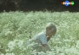 Сцена из фильма Лето на память (1987) Лето на память сцена 4