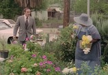 Сцена из фильма Перчатка / The Glove (1979) Перчатка сцена 8