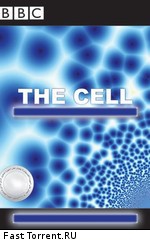 BBC: Клетка, или из чего состоит жизнь