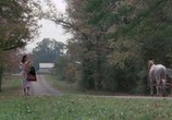 Сцена из фильма Выселенные / The Evictors (1979) Выселенные сцена 5