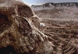 Сцена из фильма National Geographic: Гибель Викингов / Viking Apocalypse (2011) National Geographic: Гибель Викингов сцена 2