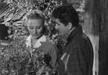 Сцена из фильма Минута истины / La minute de vérité (1952) Минута истины сцена 10
