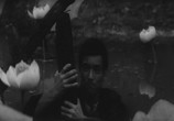 Сцена из фильма Гений дзюдо / Sugata Sanshiro (1965) Гений дзюдо сцена 2