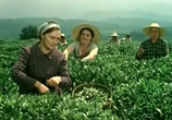 Сцена из фильма Жених без диплома (1961) 