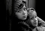 Сцена из фильма Звонят, откройте дверь (1965) Звонят, откройте дверь сцена 7