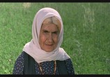Сцена из фильма Цвет Рая / Rang-e khoda (1999) Цвет Рая сцена 5