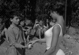 Сцена из фильма Сорванцы / Les mistons (1957) Сорванцы сцена 4