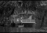 Сцена из фильма Мыс страха / Cape Fear (1962) Мыс страха сцена 8