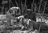 Сцена из фильма Собака Баскервилей (1971) Собака Баскервилей сцена 13