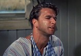 Сцена из фильма Тэмми и Холостяк / Tammy and the Bachelor (1957) Тэмми и Холостяк сцена 2