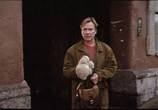 Сцена из фильма Клюква в сахаре (1996) Клюква в сахаре сцена 11