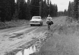 Фильм Я любопытна – фильм в жёлтом / Jag är nyfiken - en film i gult (1967) - cцена 8