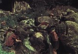 Сцена из фильма Пленники Барсова ущелья (1956) Пленники Барсова ущелья сцена 6