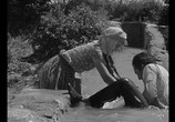 Сцена из фильма Засушливое лето / Susuz yaz (1963) Засушливое лето сцена 3