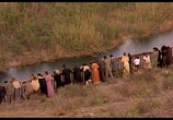 Сцена из фильма Как вода для шоколада / Como agua para chocolate (1992) Как вода для шоколада сцена 2