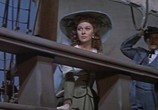 Сцена из фильма Неукротимый / Untamed (1955) Неукротимый сцена 3