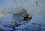 Сцена из фильма IMAX: Антарктика: Путешествие в неизвестную природу / IMAX: Antarctica: An Adventure Of A Different Nature (1991) IMAX: Антарктика: Путешествие в неизвестную природу сцена 2