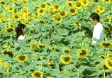 Сцена из фильма Быть с вами  / Ima, ai ni yukimasu (2004) Быть с вами / Я вернусь с дождём сцена 10