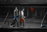 Сцена из фильма Бойцовая рыбка / Rumble Fish (1983) Бойцовая рыбка сцена 1