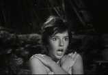 Сцена из фильма Чочара / La ciociara (1960) Чочара сцена 9