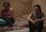 Сцена из фильма Горькие цветы / Xia hai (2017) Горькие цветы сцена 7