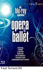Избранные моменты оперных и балетных спектаклей