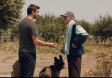 Сцена из фильма Собаки / Câini (2016) Собаки сцена 8
