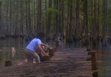 Сцена из фильма Болотная тварь / Swamp Thing (1982) 
