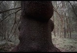 Сцена из фильма Чудесный лес / Metsän tarina (2012) Чудесный лес сцена 15
