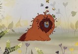 Сцена из фильма Почему у льва большая грива? (1976) Почему у льва большая грива? сцена 1