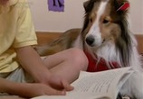 Сцена из фильма Работа для собак / Dogs with jobs (2000) Работа для собак сцена 2